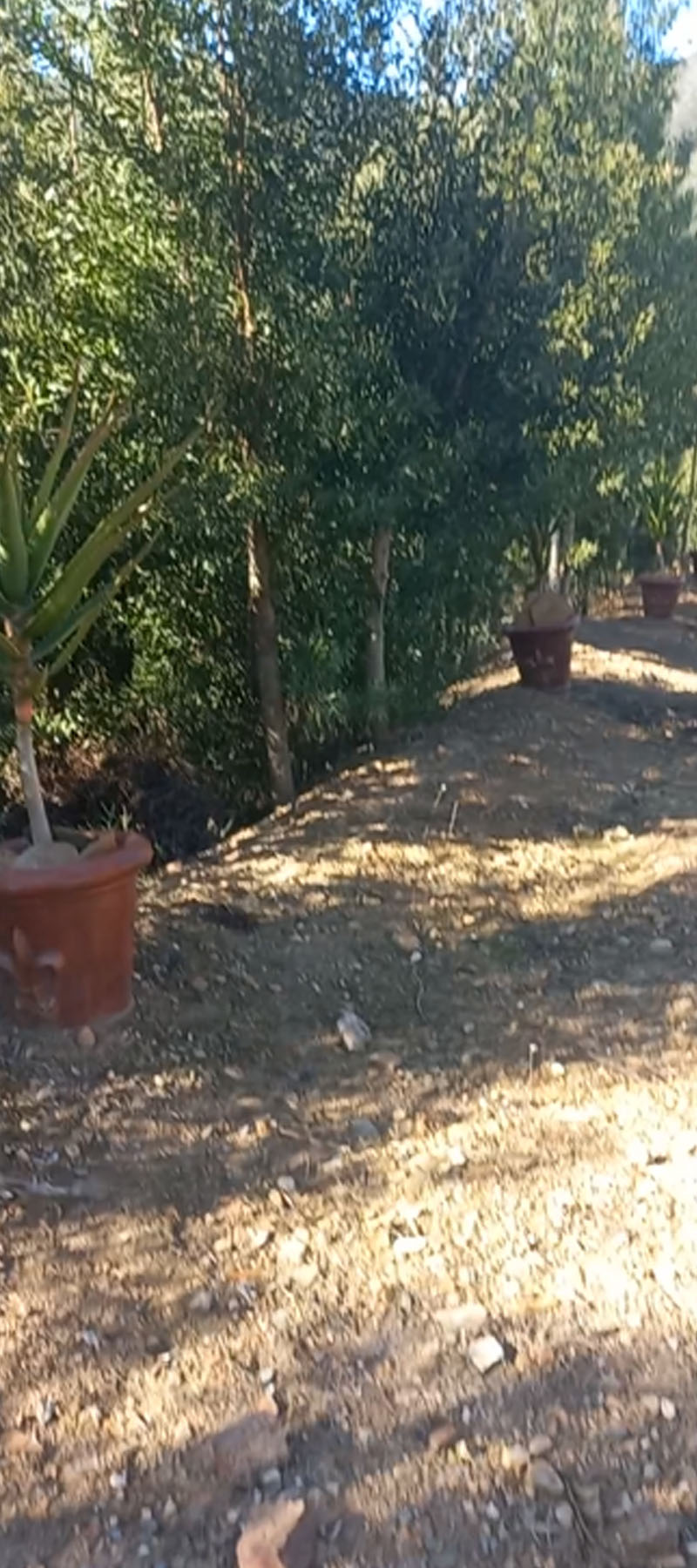 10 Bedroom Property for Sale in Hoekwil Western Cape